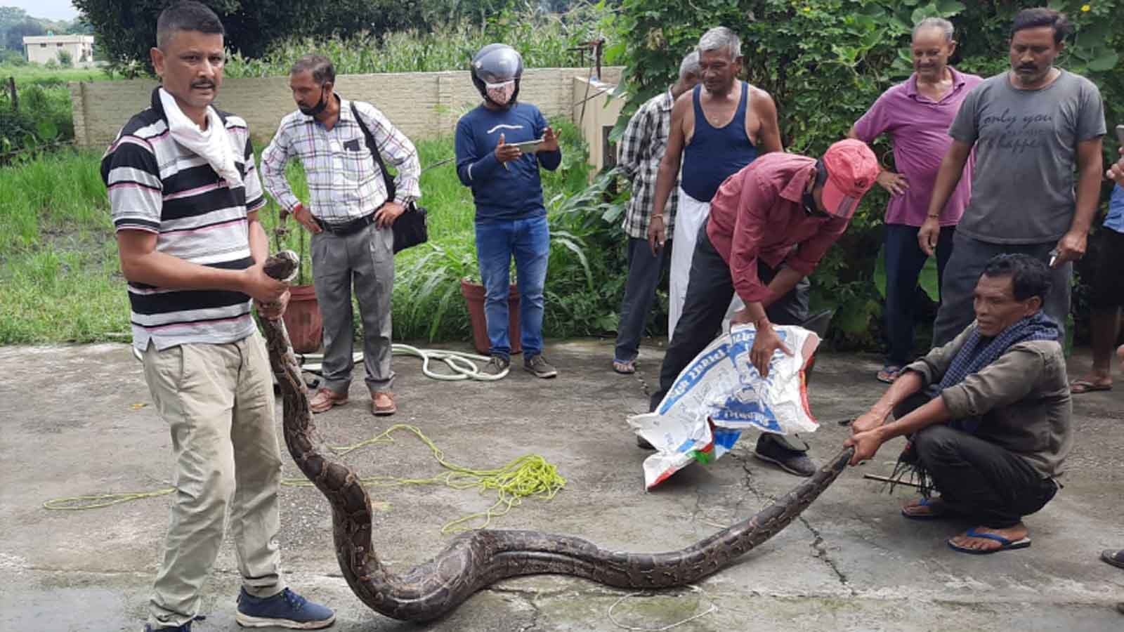 Uttarakhand: Forest department rescues 12-feet-long python in Dehradun