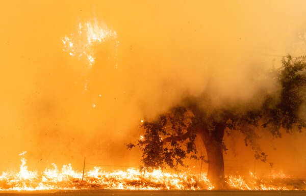 California wildfires engulf nearly 1M acres