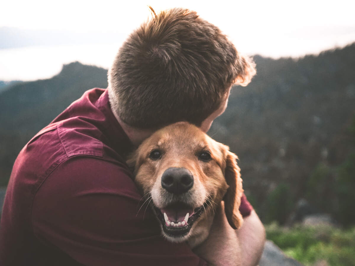 International Dog Day Science Backed Benefits Of Having A Dog As A Pet The Times Of India