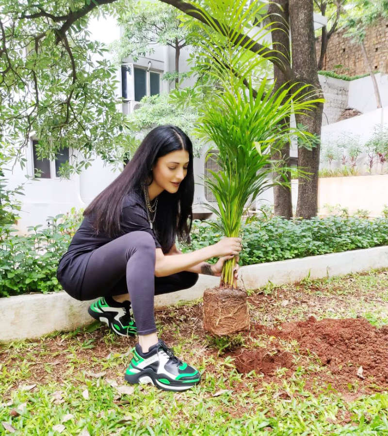 Pictures of celebs participating in ‘Green India Challenge’ will inspire you to plant a sapling