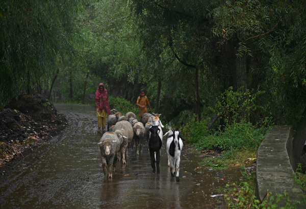 Kashmir Valley receives heavy downpour