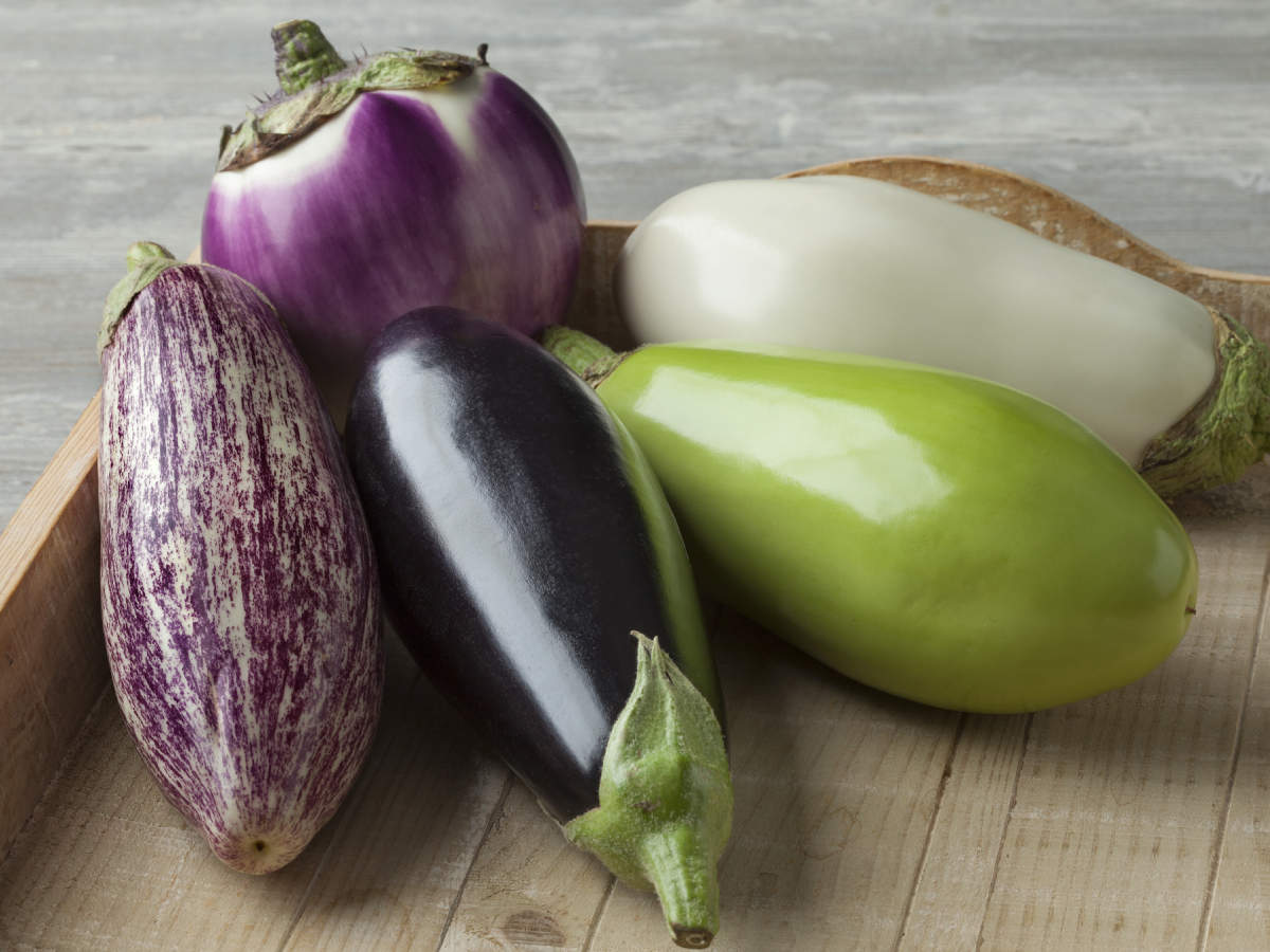 Eggplant: Its many varieties available across the world! | The Times of  India