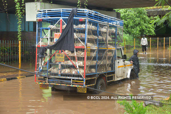 Massive rain causes waterlogging in Navi Mumbai