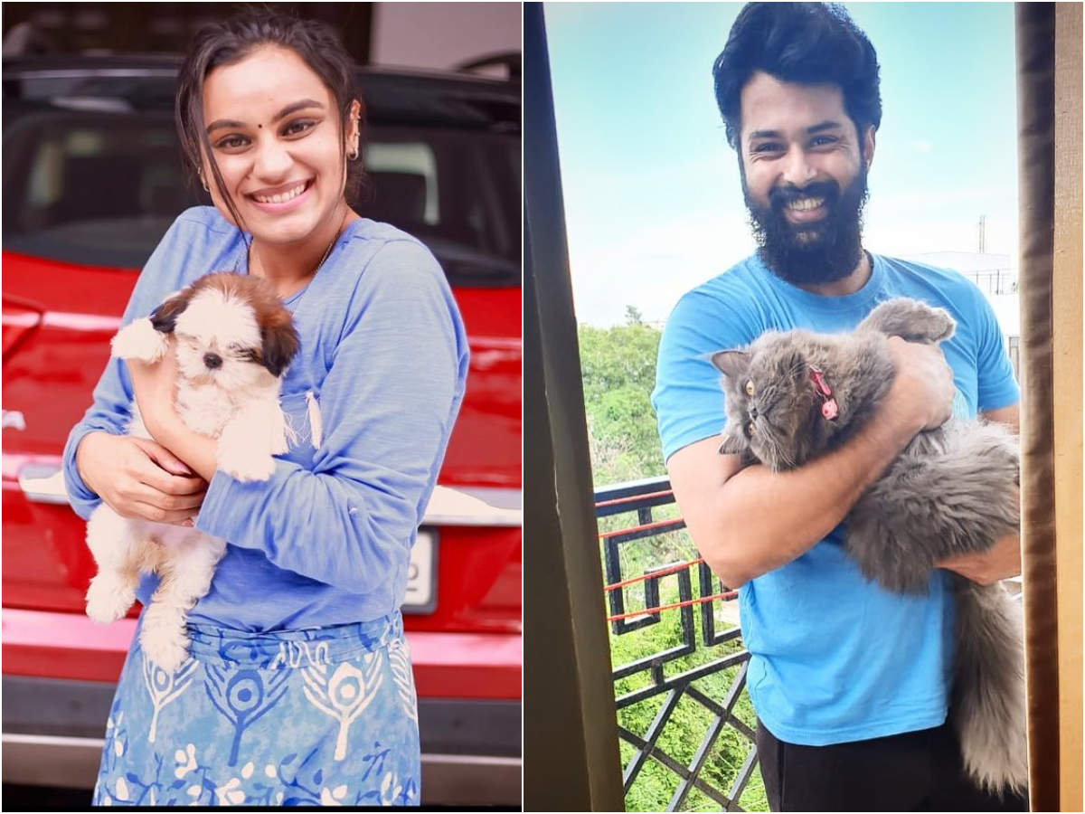 Sujo Mathew's Sheldon to Lakshmi's Paappu: Take a look at the pets of  Malayalam TV celebs | The Times of India