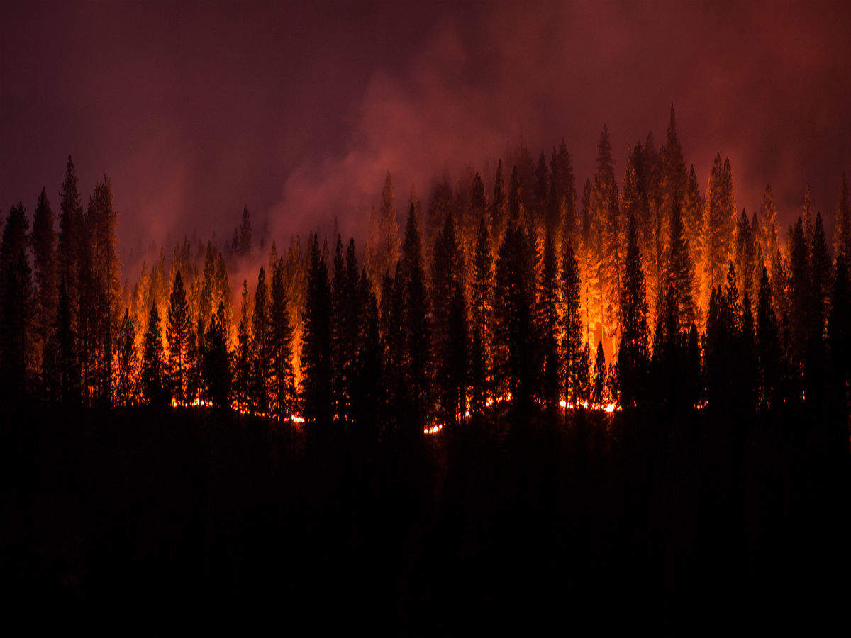 California wildfires explained, several parks shut down as fires rage California wildfires explained, several parks shut down as fires rage