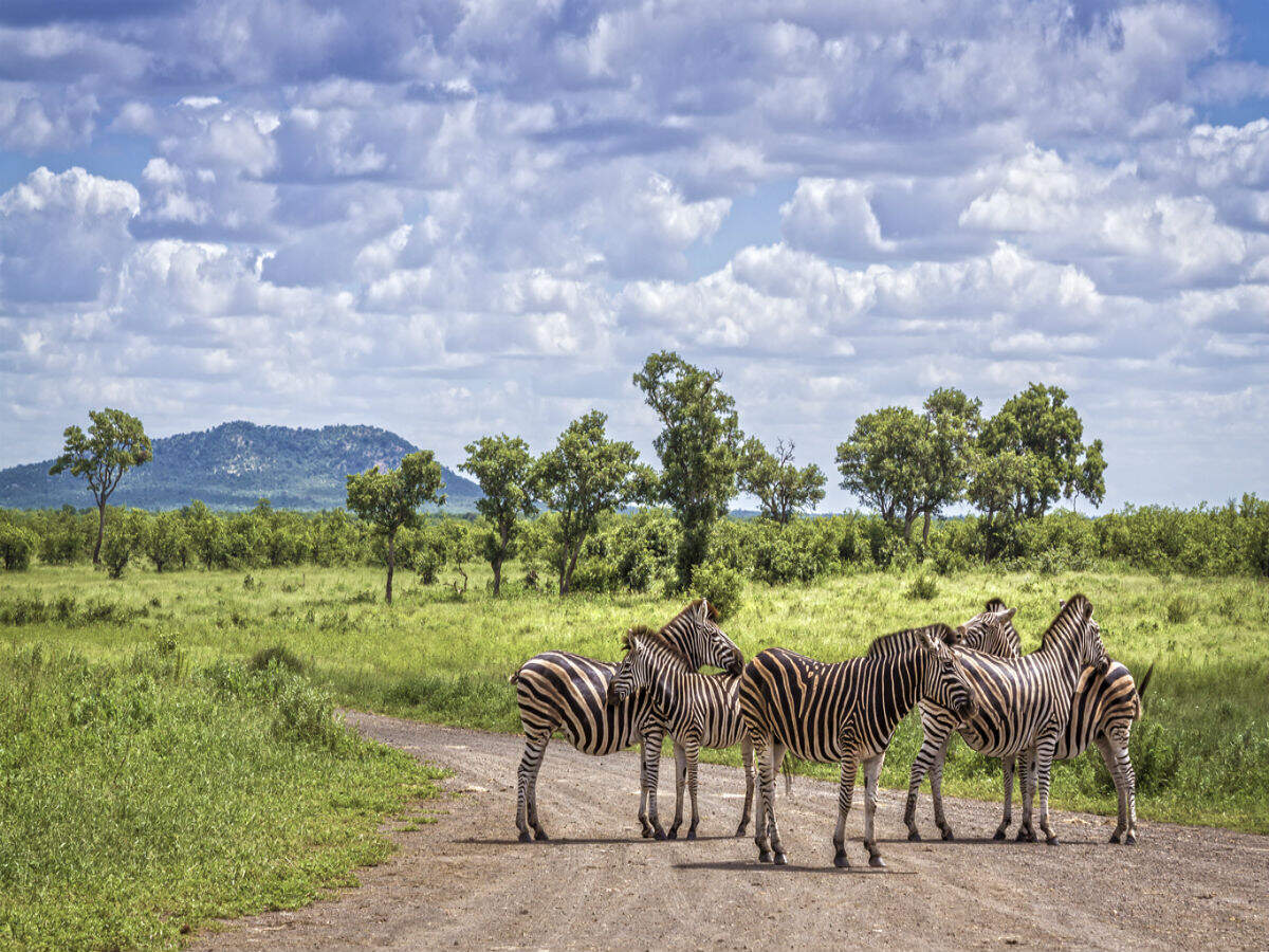 South Africa to welcome overseas travellers from October 1 South Africa to welcome overseas travellers from October 1