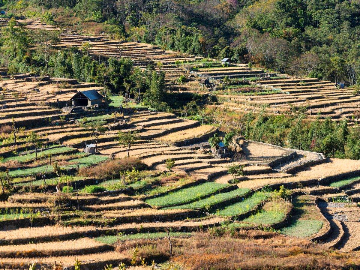 Khonoma, India’s first green village—its journey from hunting to conservation