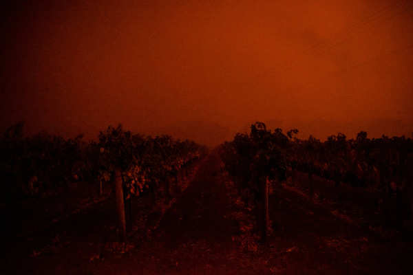 Wildfires engulf California's Napa Valley