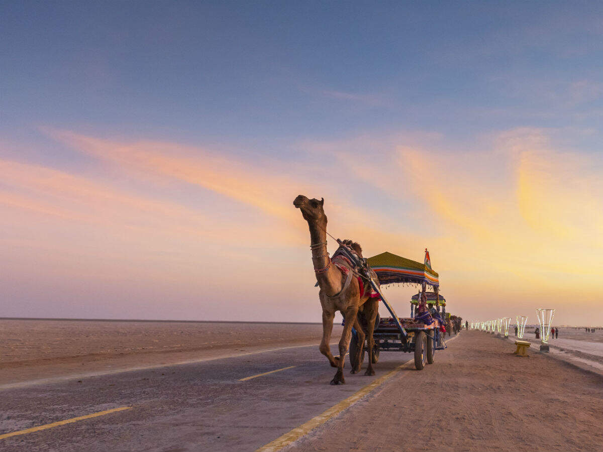IHCL’s #TravelForIndia campaign is all about inspiring safe travel in India IHCL’s #TravelForIndia campaign is all about inspiring safe travel in India