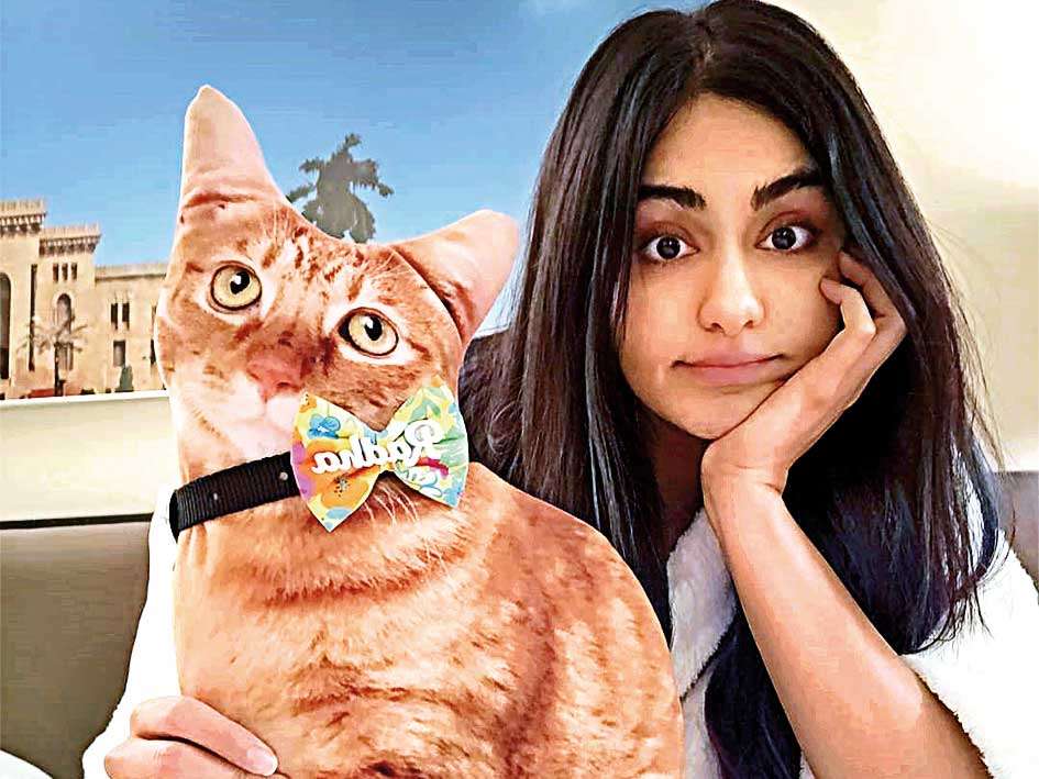 My cat pillow Radha is proof that nepotism truly rocks: Adah Sharma ...