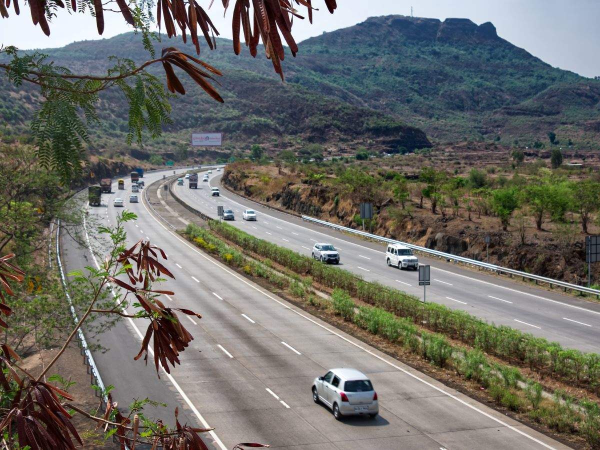 In a first, India to get five ‘animal bridges’ on Delhi-Mumbai highway In a first, India to get five ‘animal bridges’ on Delhi-Mumbai highway