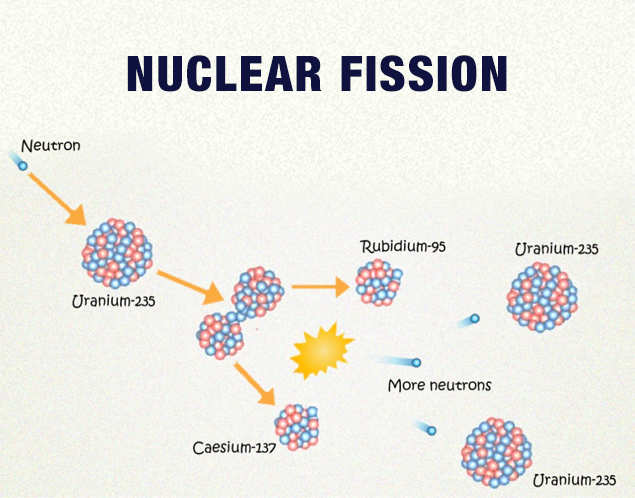 What Does Uranium 235 Fission Into