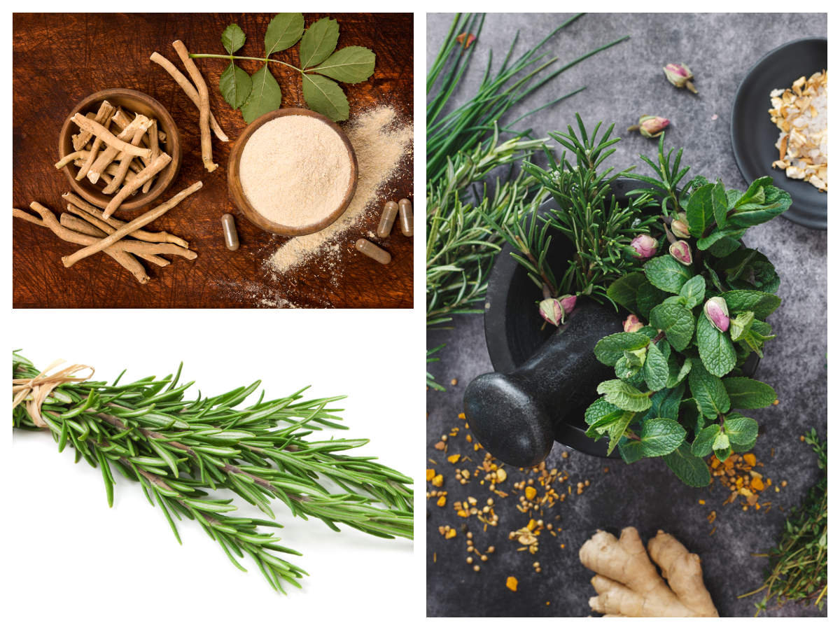 Energy-boosting herbs and nutrients