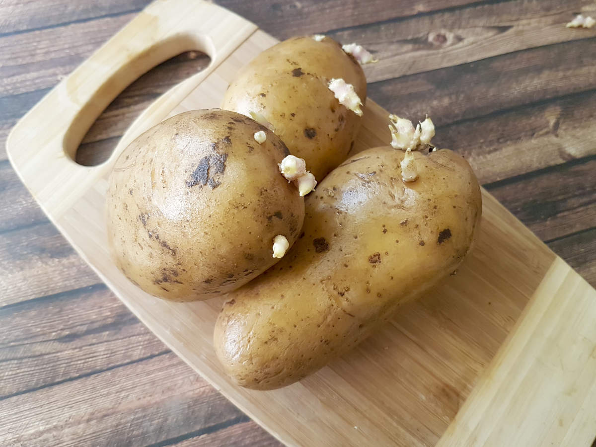 Can You Cook Sprouted Potatoes Are They Safe To Cook With 