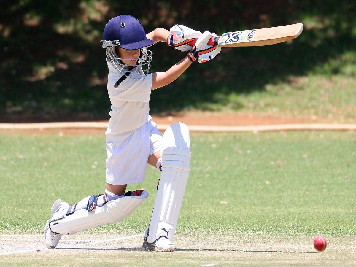 English Willow Cricket Bats