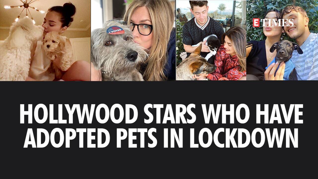 Hollywood stars who have adopted pets in lockdown