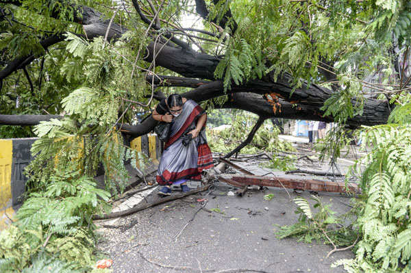 Massive rains claim 30 lives in Telangana