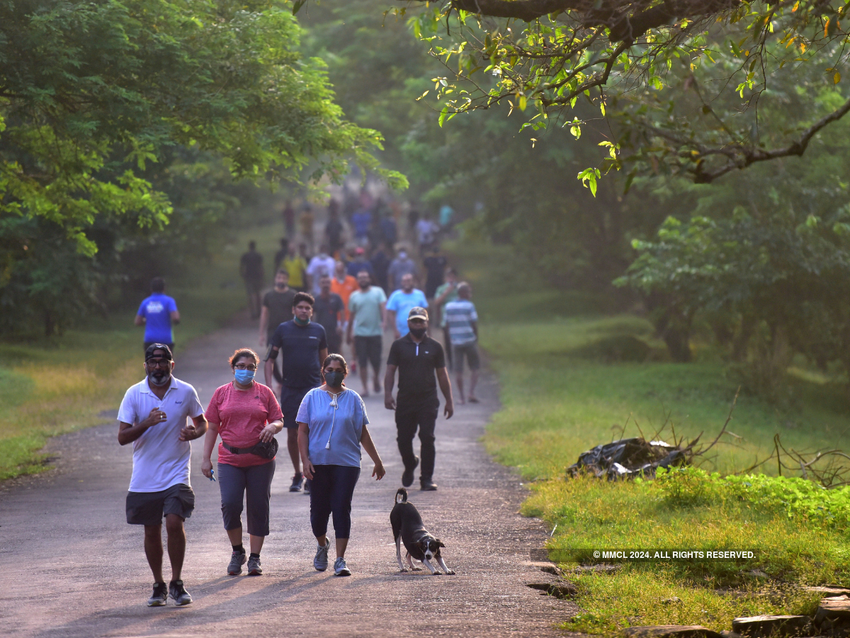 In Photos: Sanjay Gandhi National Park reopens its doors to morning