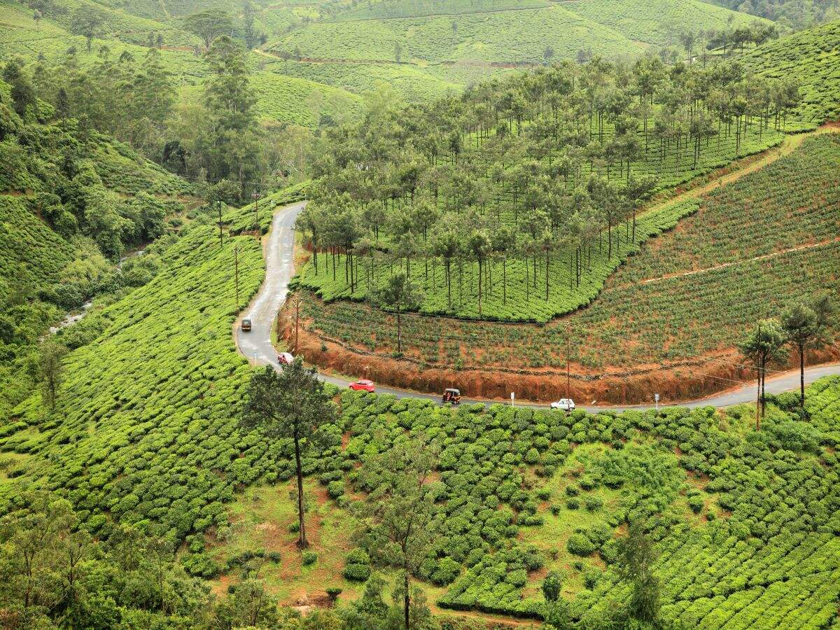 Kerala’s Vagamon gets ‘Green Checkposts’ to curtail plastic waste Kerala’s Vagamon gets ‘Green Checkposts’ to curtail plastic waste