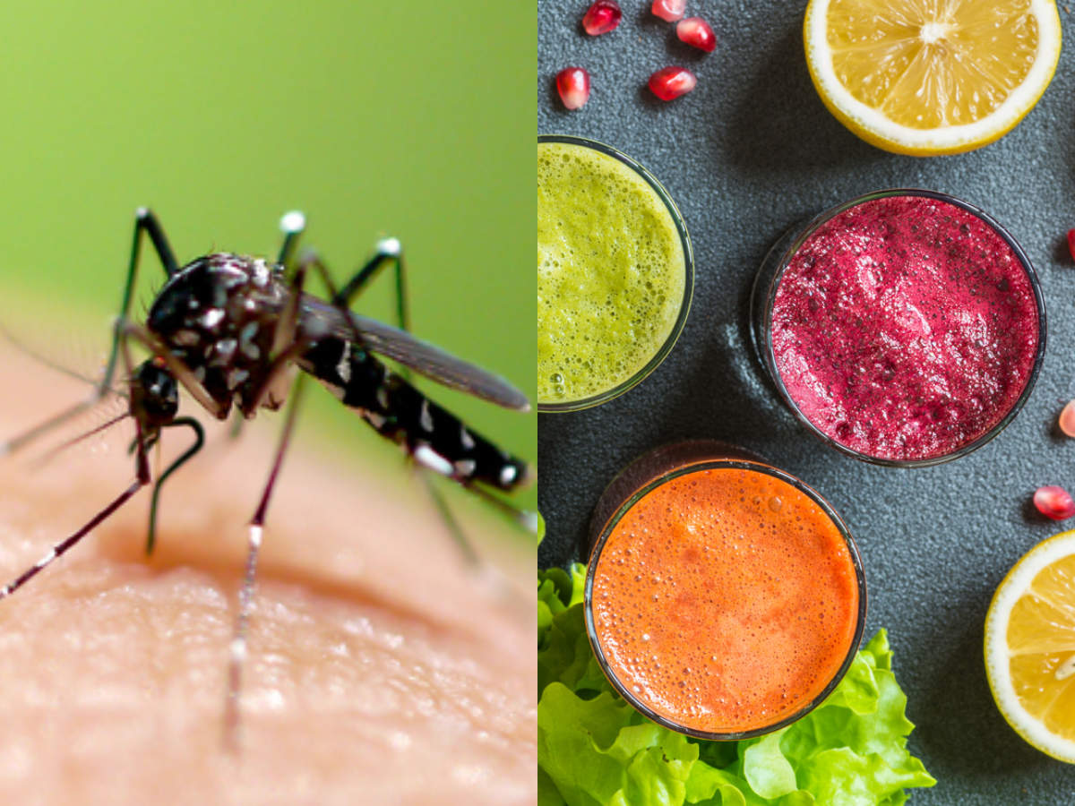 Dengue Diet: Dos and don't of eating for a fast recovery