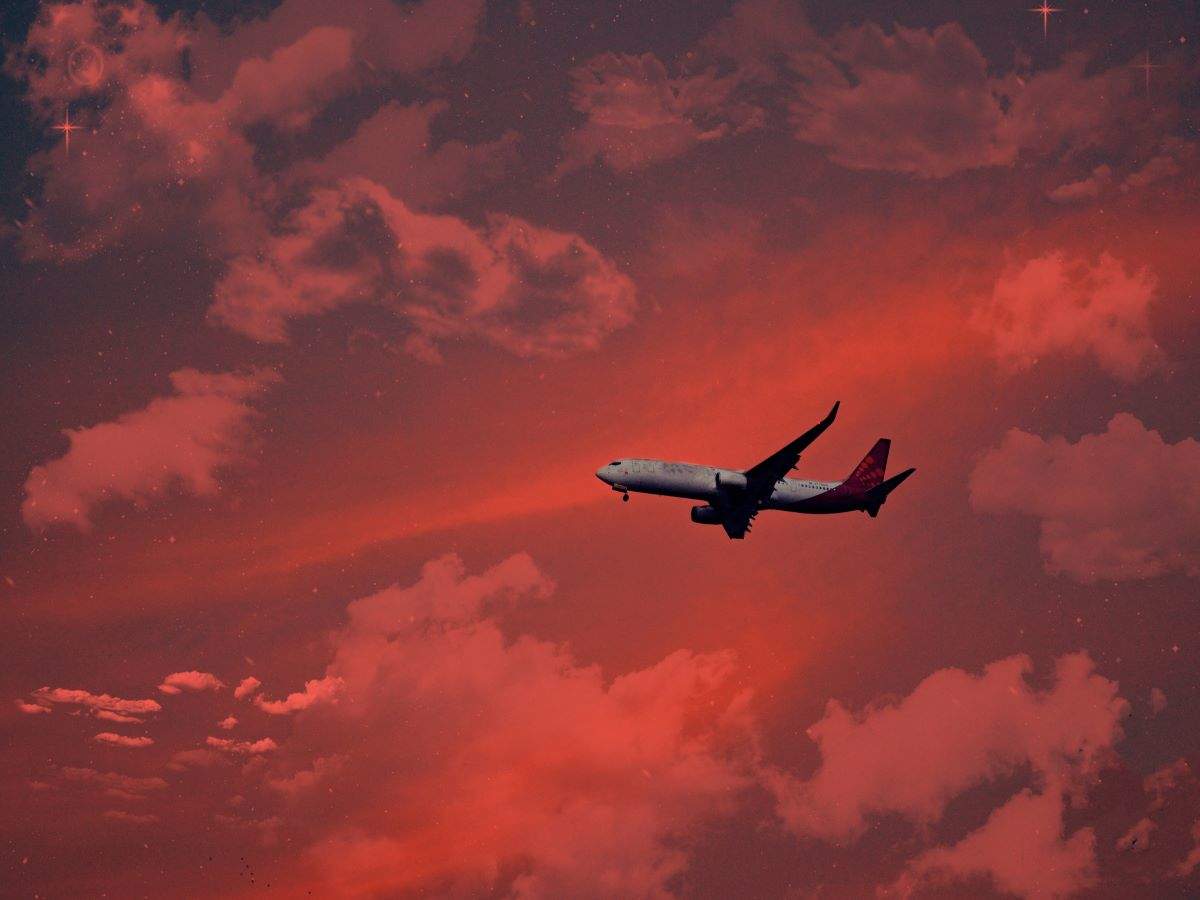 Travel to Tanzania and the Netherlands now possible; India’s travel bubble extends to 20 countries Travel to Tanzania and the Netherlands now possible; India’s travel bubble extends to 20 countries