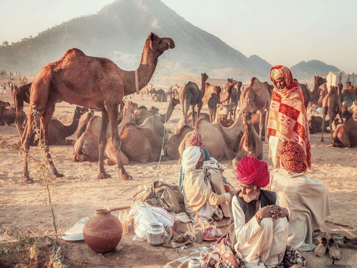 COVID impact: Pushkar Fair likely to be cancelled this year COVID impact: Pushkar Fair likely to be cancelled this year