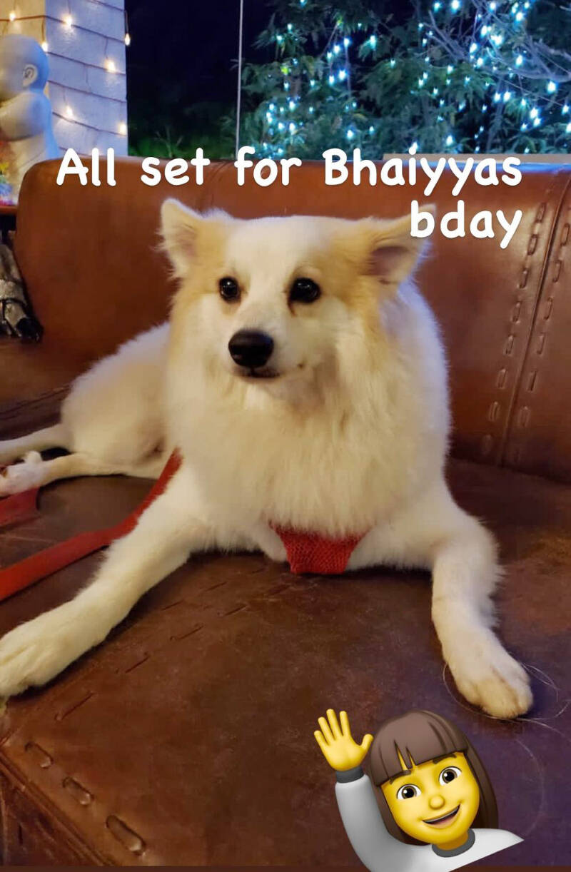 Inside pictures from Malaika Arora&rsquo;s son Arhaan Khan's 18th birthday celebration