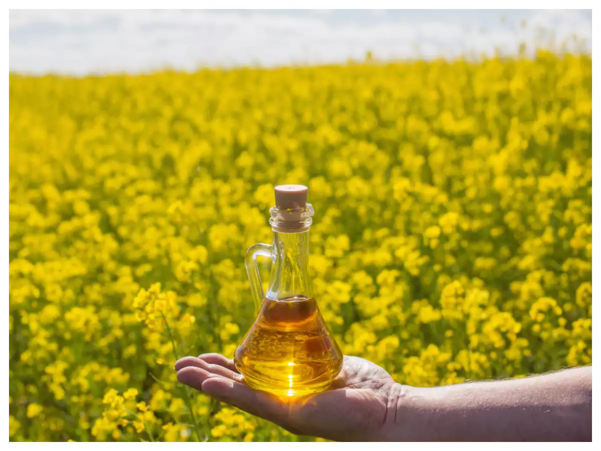 MyGovIndia shares easy hacks to check Mustard oil adulteration at home |  The Times of India