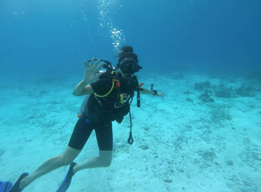 Dive too. плавать с аквалангом.