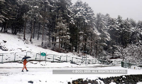 Kashmir Valley receives fresh snowfall
