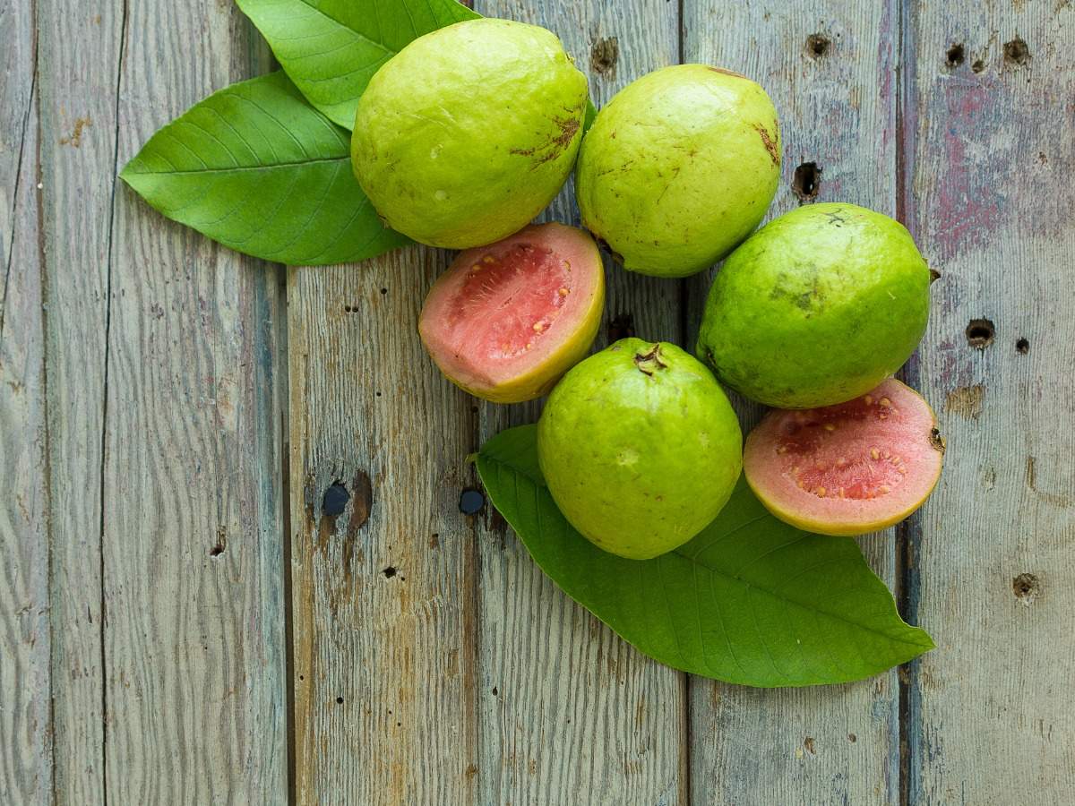 Benefits of Guava & Recipes: Why you need to include the seasonal guava  fruit in your diet