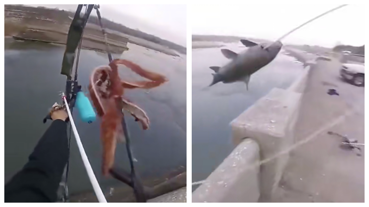 Modern Arjuna: Man hooks fish using a bow and arrow