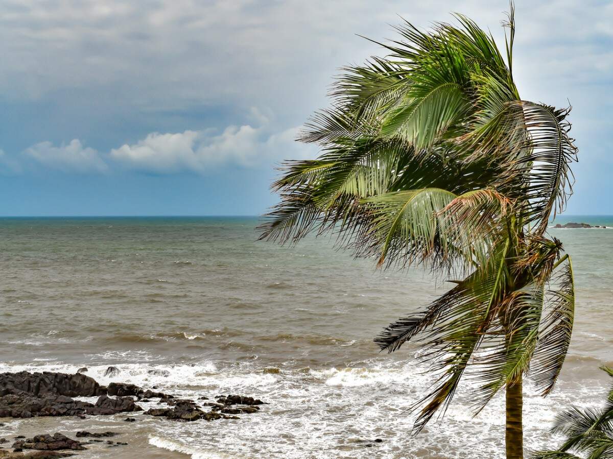 Travel advisory: Kerala on high alert as Cyclone Beruvi nears Travel advisory: Kerala on high alert as Cyclone Beruvi nears