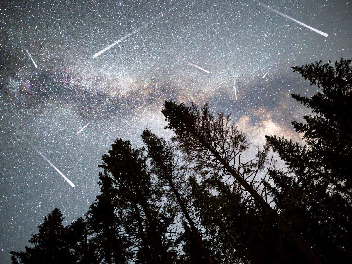 Geminid Meteor Shower 2020 Where and when to watch in India? Times