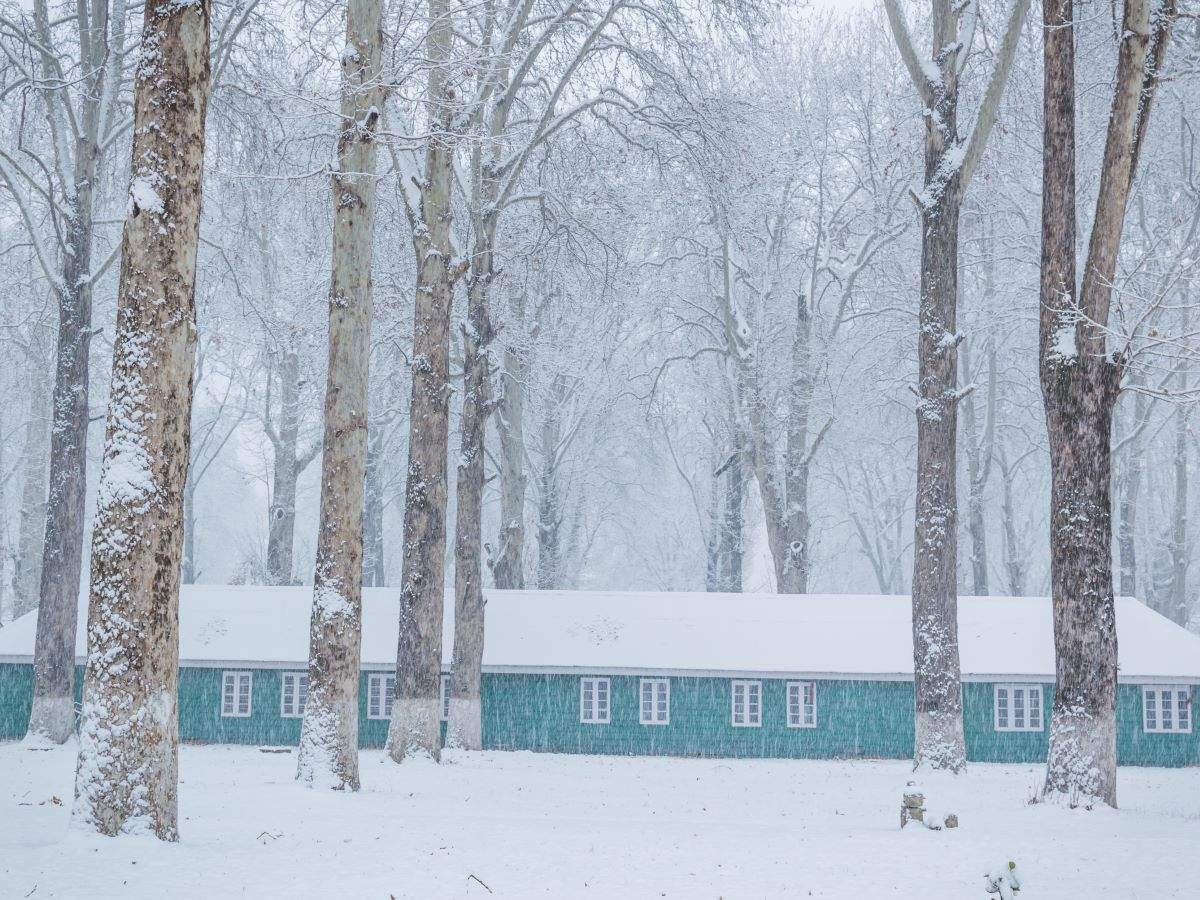 Kashmir plains receive season’s first snowfall; major highways closed Kashmir plains receive season’s first snowfall; major highways closed
