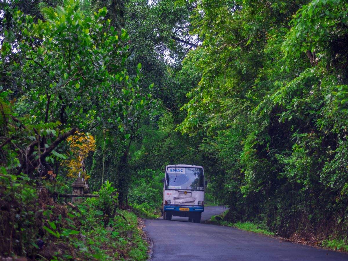 Kerala Tourist Spots Gradually Returning To Normal After A Hiatus Times Of India Travel