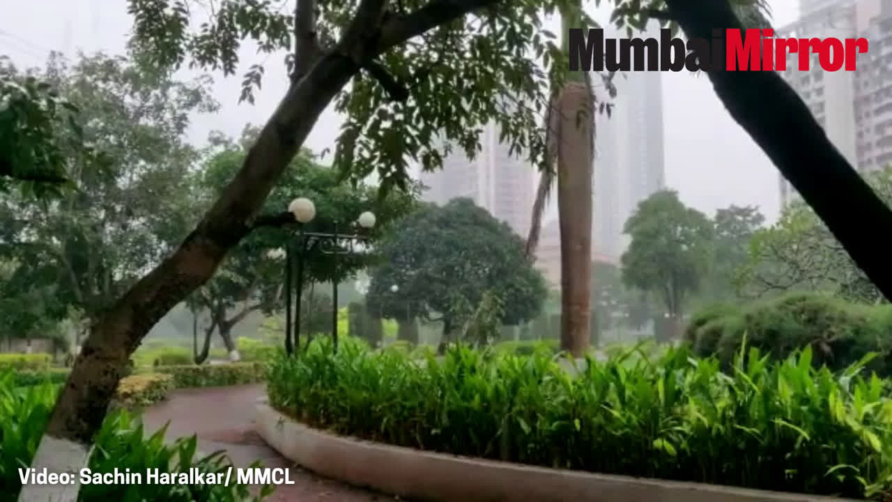 Watch: Slight in dip in temperature after light showers in Mumbai on Monday