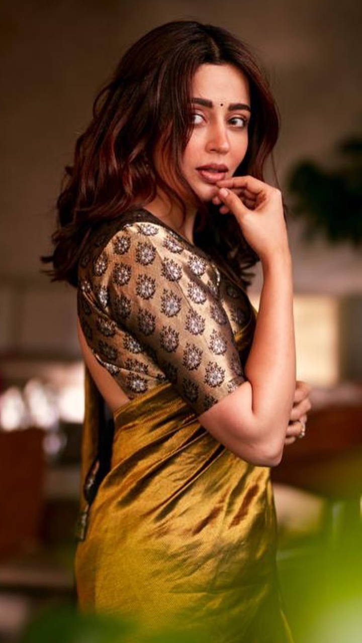 Nehha Pendse has a stunning ethnic style | Times of India