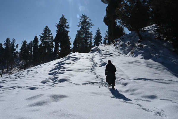 Severe cold wave sweeps Kashmir Valley