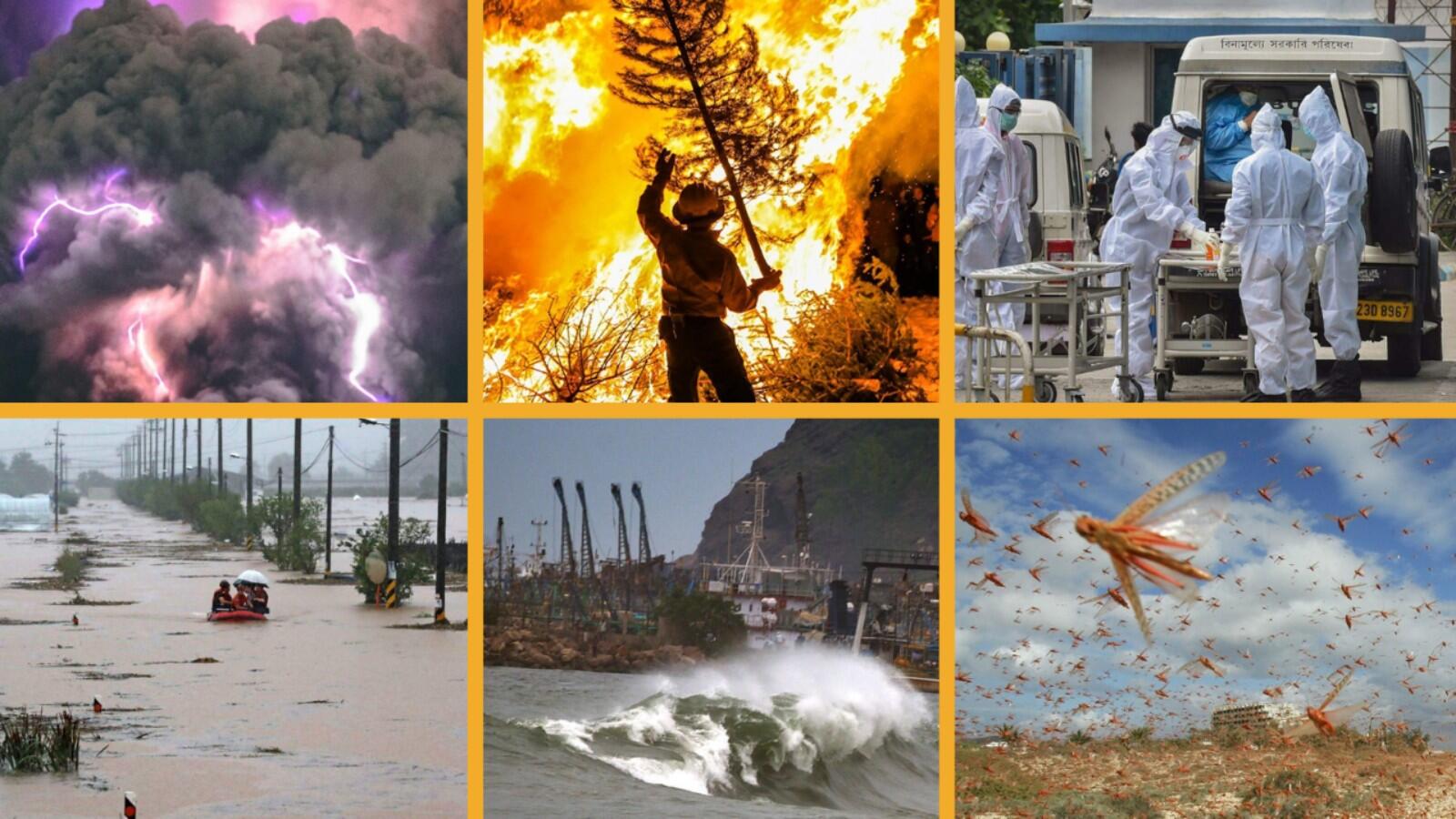 Disaster year: Why did 2020 hit people so hard?