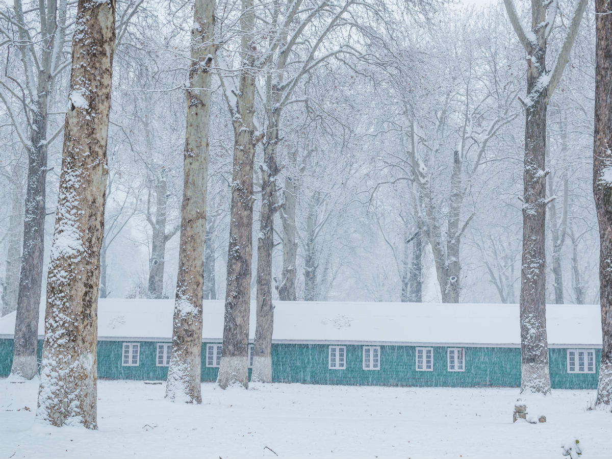 Kashmir experiences Chillai Kalan as cold waves likely to hit parts of north India Kashmir experiences Chillai Kalan as cold waves likely to hit parts of north India