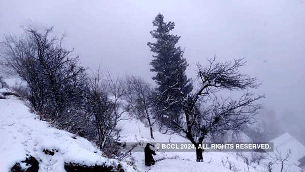 Kashmir, Himachal receive fresh snowfall