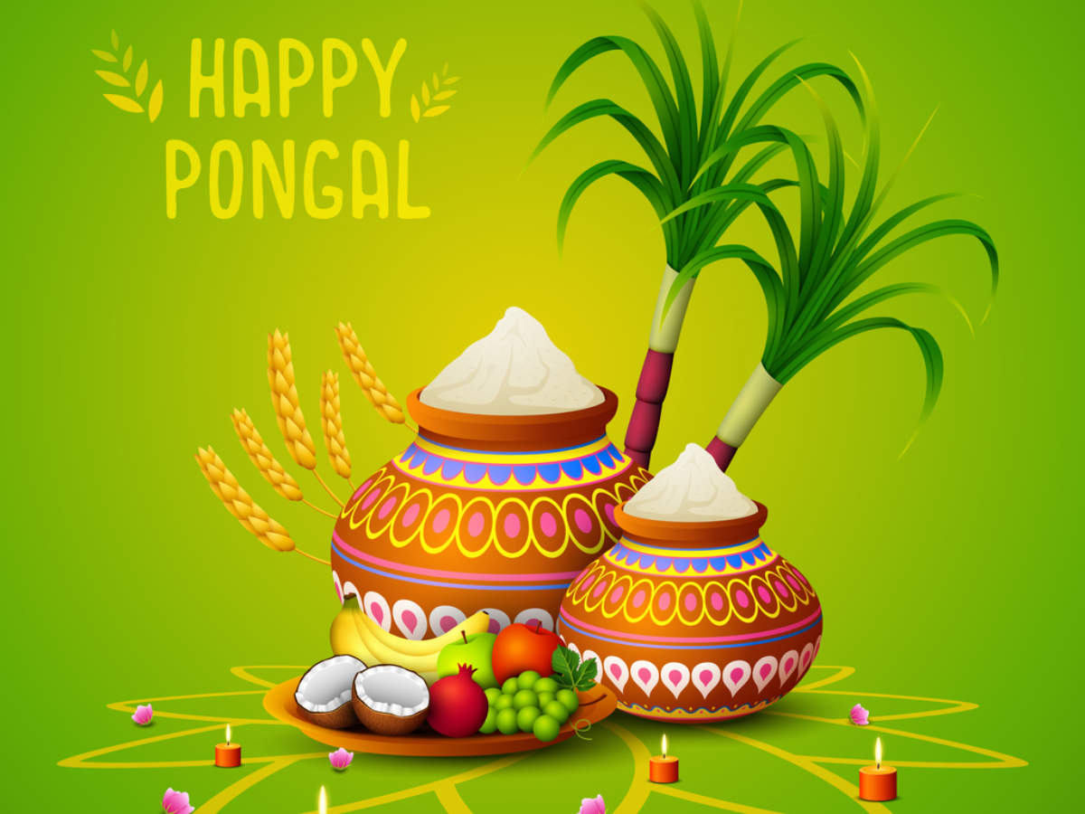 Pongal Quotes