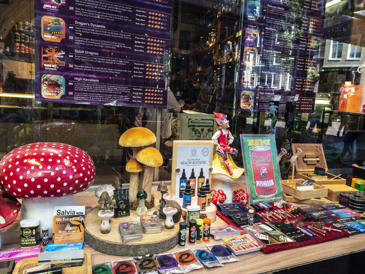 Amsterdam says no to cannabis tourism; bans tourists from buying stuff Amsterdam says no to cannabis tourism; bans tourists from buying stuff