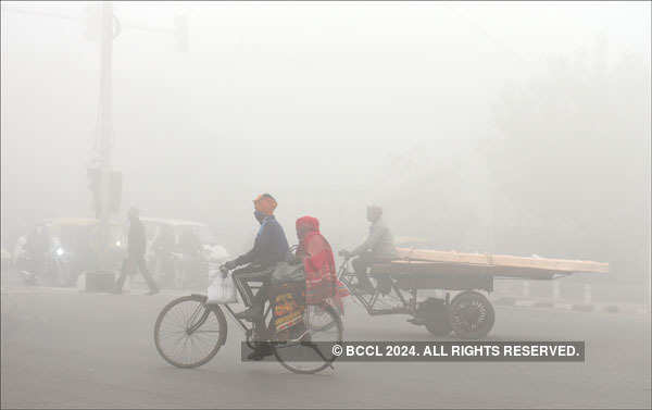 Cold wave conditions persist in north India
