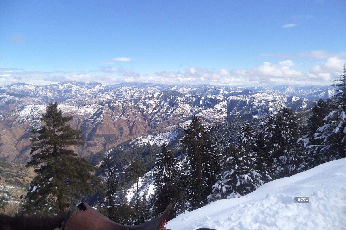 Popular wildlife sanctuaries around India  that are worth a visit