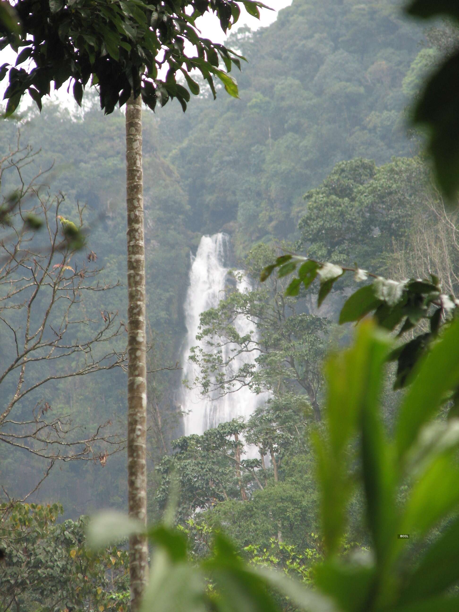 Top 15 Beautiful Waterfall of India