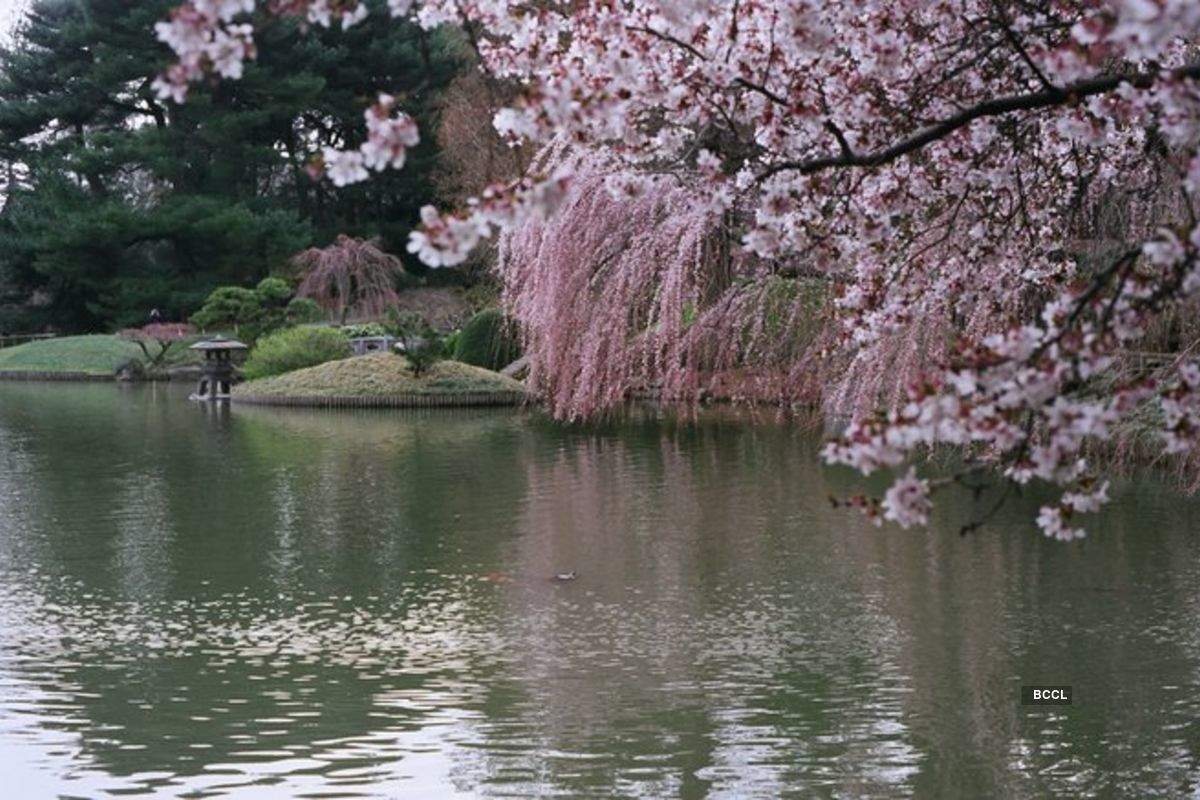 Pictures of the top 15 most beautiful gardens across the world