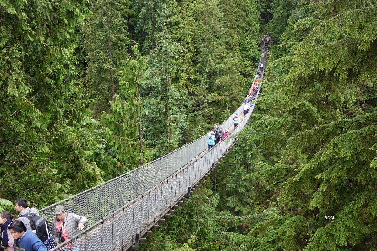 Pictures of the most treacherous bridges of the world