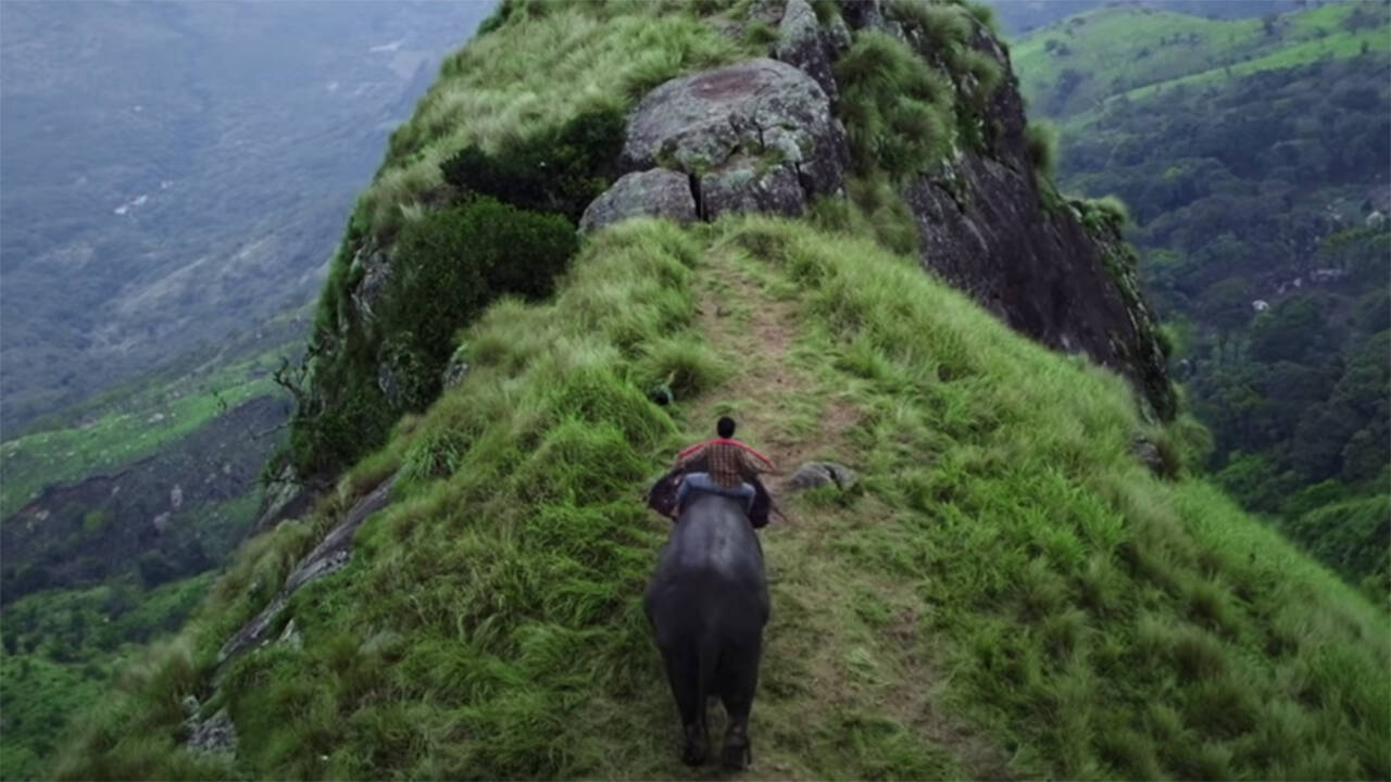 Haathi-Mere-Saathi4